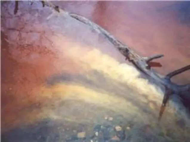 Sediment in water