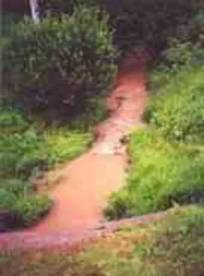Nutrients and Toxic Compounds in runoff Nutrients and Toxic Compounds in runoff