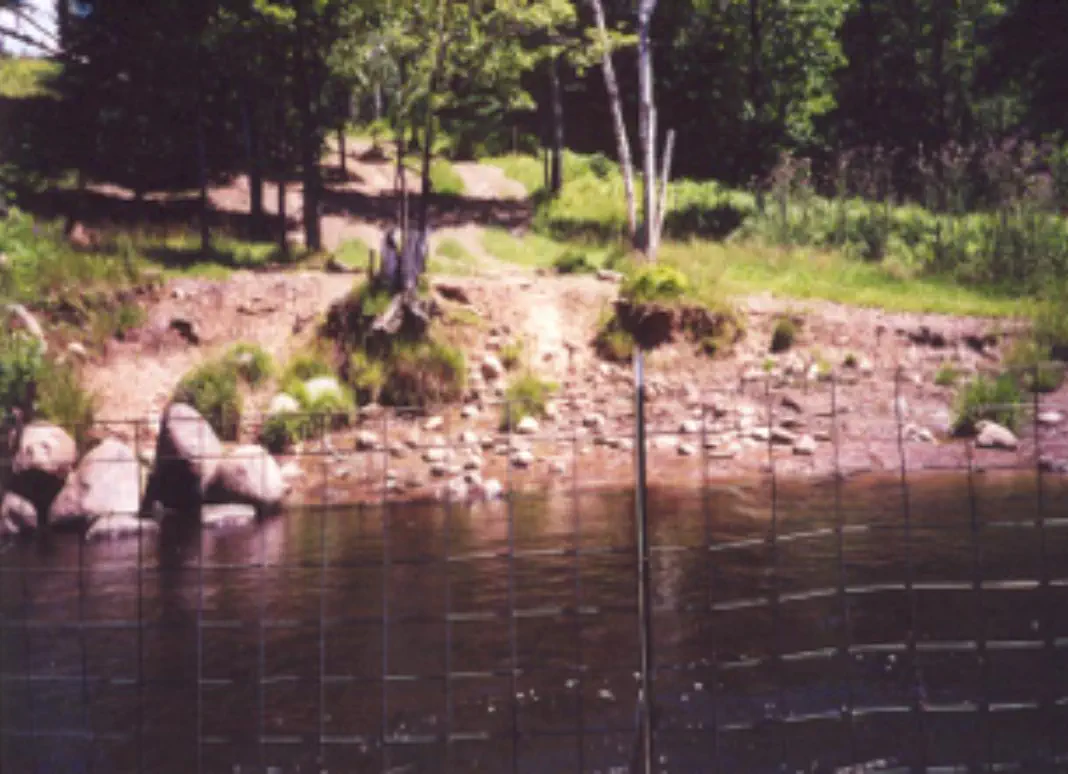 Erosion from livestock access had caused stream bank erosion Erosion from livestock access had caused stream bank erosion