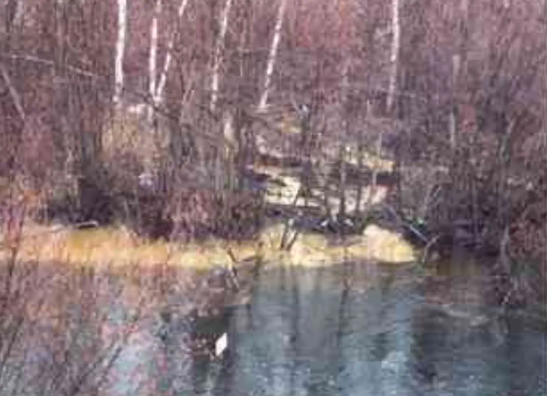 sediment buildup along edge of stream sediment buildup along edge of stream