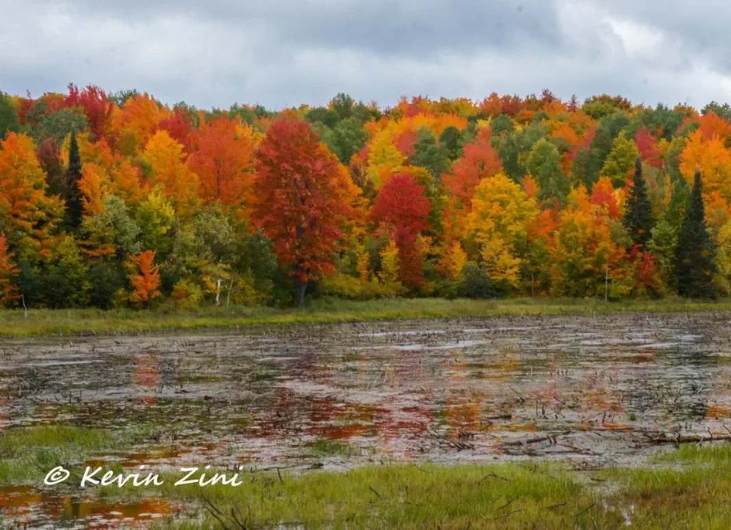 Small lake in fall Small lake with trees in fall colors